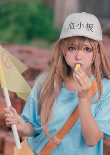 工作细胞 血小板 白细胞 cosplay