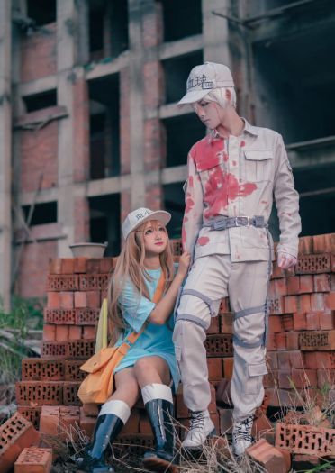 工作细胞 血小板 白细胞 cosplay