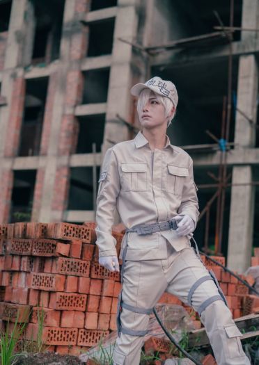 工作细胞 血小板 白细胞 cosplay