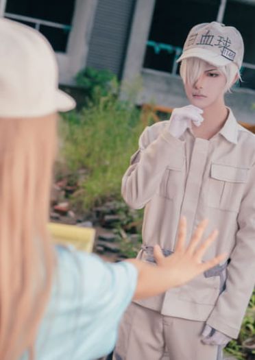 工作细胞 血小板 白细胞 cosplay