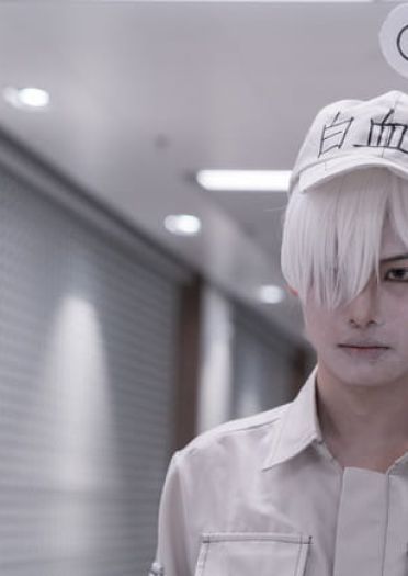 工作细胞 血小板 白细胞 cosplay