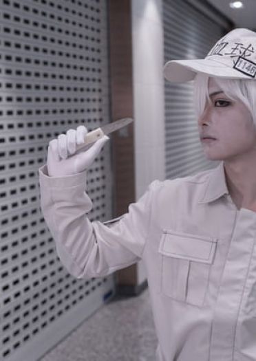工作细胞 血小板 白细胞 cosplay