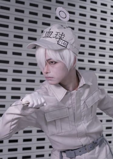 工作细胞 血小板 白细胞 cosplay