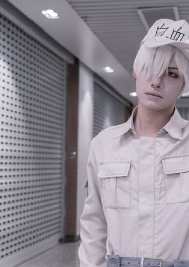 工作细胞 血小板 白细胞 cosplay