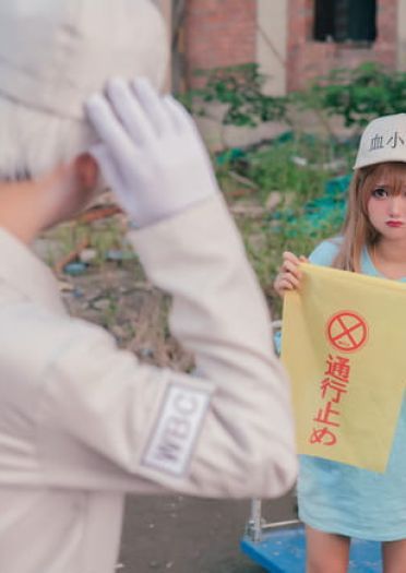 工作细胞 血小板 白细胞 cosplay