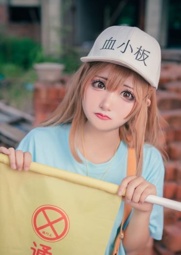 工作细胞 血小板 白细胞 cosplay