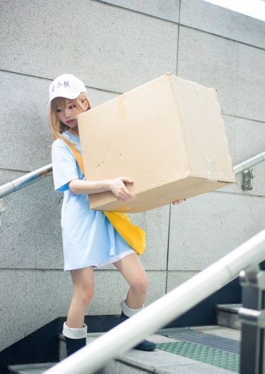 【cos正片】认真工作 血小板