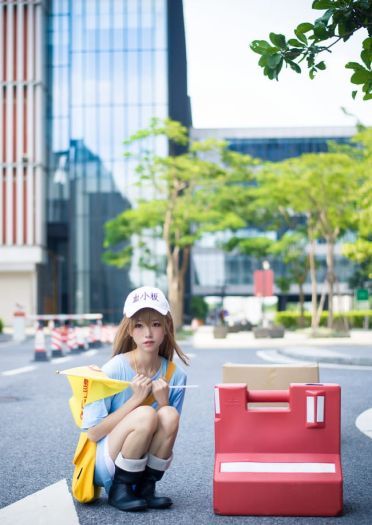 【cos正片】认真工作 血小板