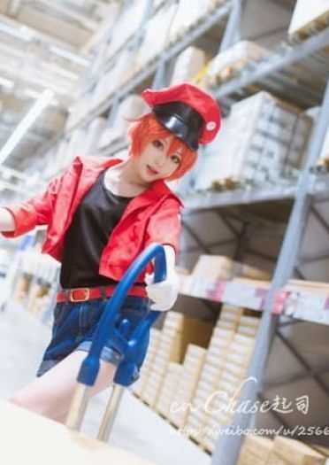 【cos正片】工作细胞 红血球