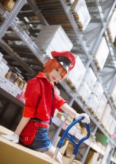 【cos正片】工作细胞 红血球