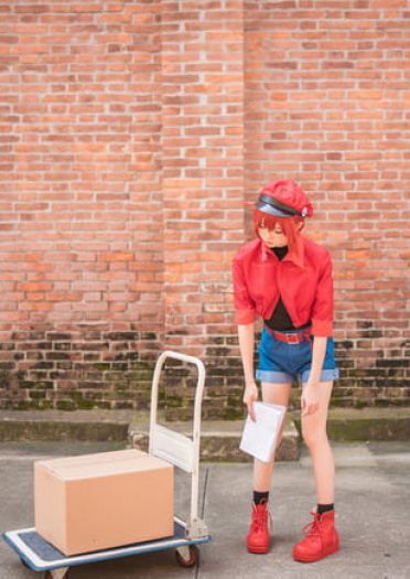 工作细胞 红细胞 红血球 cosplay