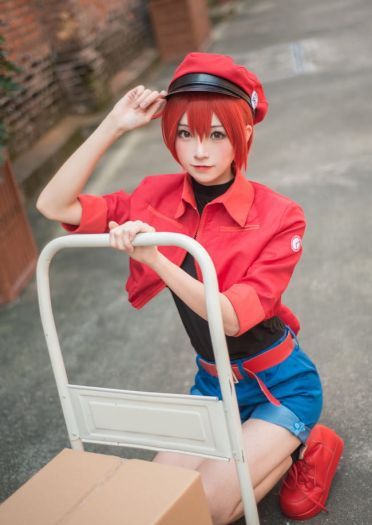 工作细胞 红细胞 红血球 cosplay