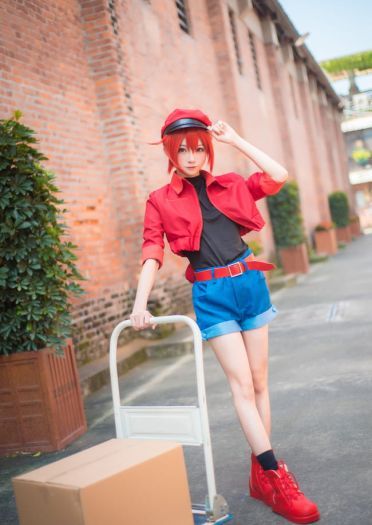 工作细胞 红细胞 红血球 cosplay