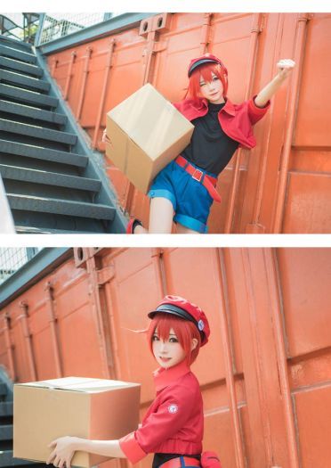 工作细胞 红细胞 红血球 cosplay