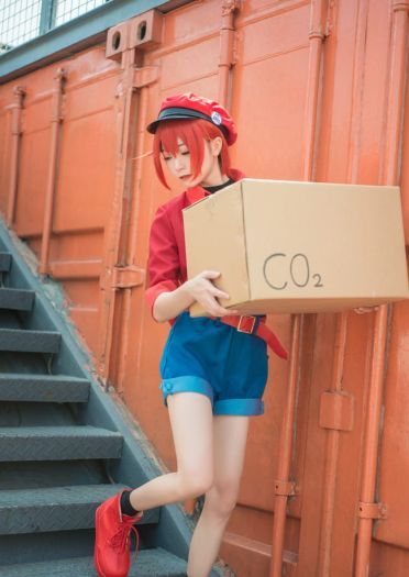 工作细胞 红细胞 红血球 cosplay