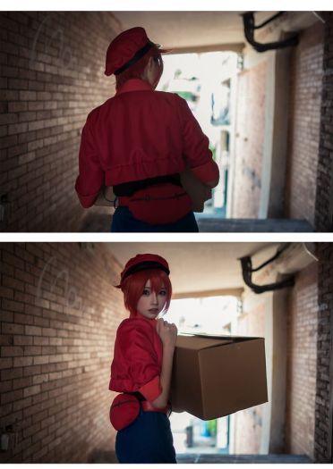 工作细胞 红细胞 红血球 cosplay