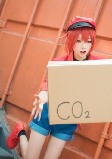工作细胞 红细胞 红血球 cosplay