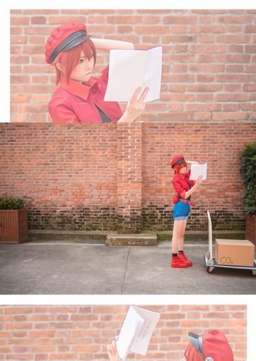 工作细胞 红细胞 红血球 cosplay