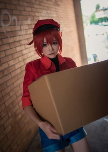 工作细胞 红细胞 红血球 cosplay