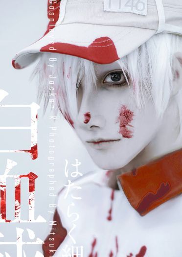 工作细胞 白血球 cosplay