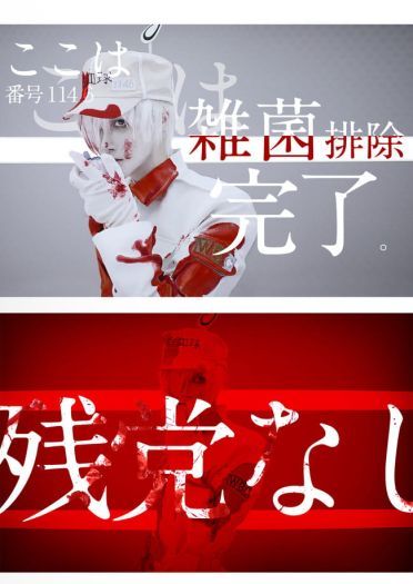 工作细胞 白血球 cosplay