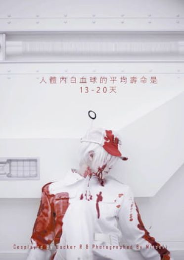 工作细胞 白血球 cosplay