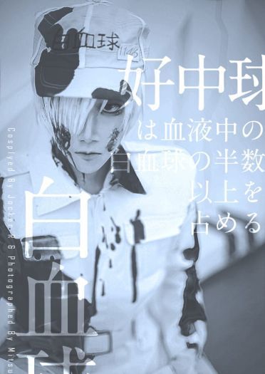 工作细胞 白血球 cosplay