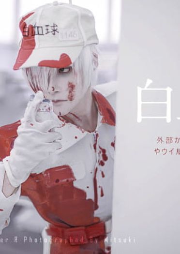 工作细胞 白血球 cosplay