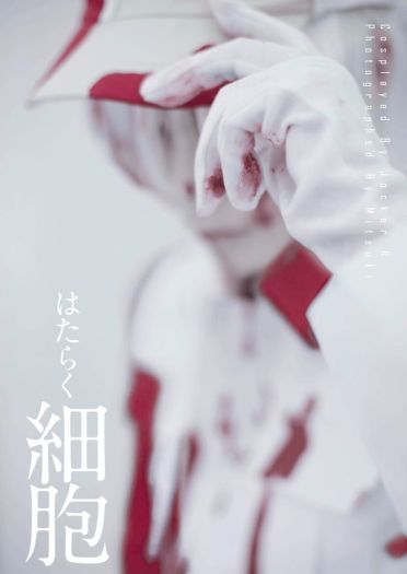 工作细胞 白血球 cosplay