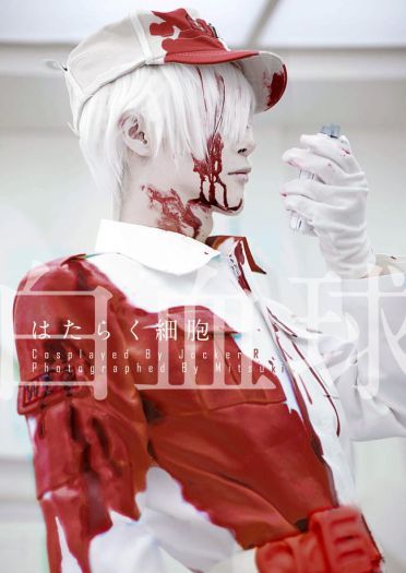 工作细胞 白血球 cosplay