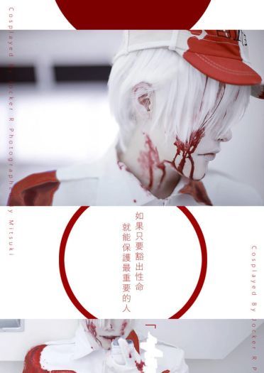 工作细胞 白血球 cosplay