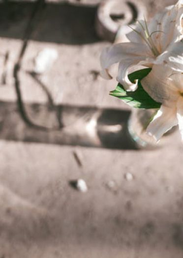 我的英雄学院 荼毘 轰焦冻 cosplay