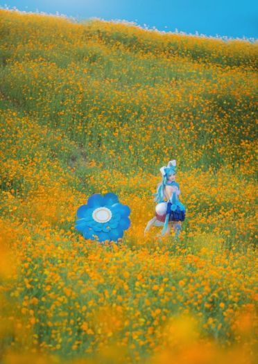 王者荣耀 公孙离 cosplay