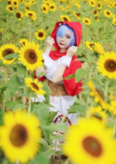 【cos正片】蕾姆小红帽cos