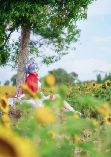 【cos正片】蕾姆小红帽cos