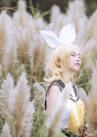 VOCALOID 镜音双子 镜音连 cosplay
