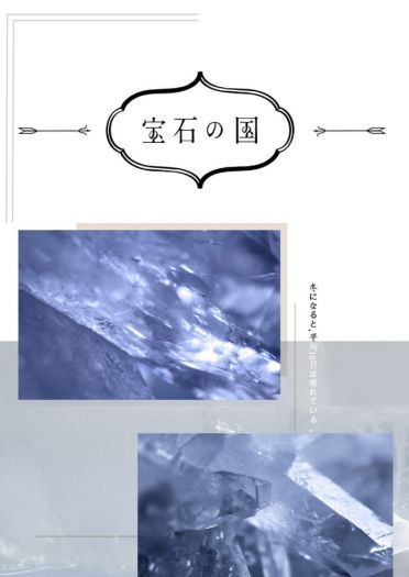 宝石之国 冬巡组 安特库 法斯 肉丝 南极石 cosplay