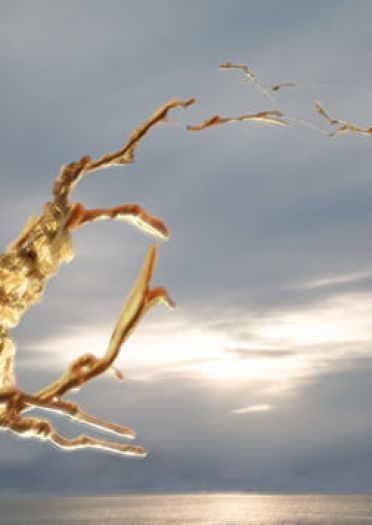 宝石之国 冬巡组 安特库 法斯 肉丝 南极石 cosplay