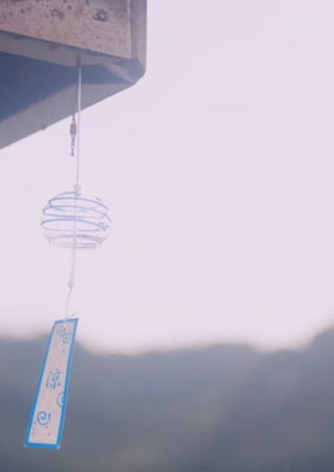 剑侠情缘网络版叁 万花 双花 cosplay