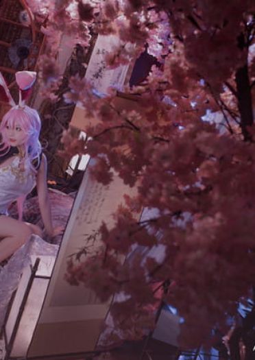 【cos正片】崩坏3 八重樱旗袍cos