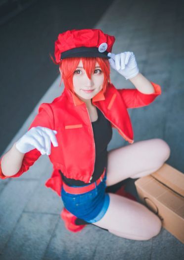 【cos正片】工作细胞 红细胞cos