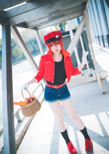 【cos正片】工作细胞 红细胞cos