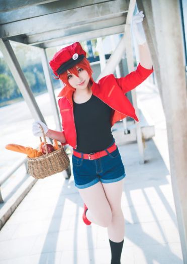 【cos正片】工作细胞 红细胞cos