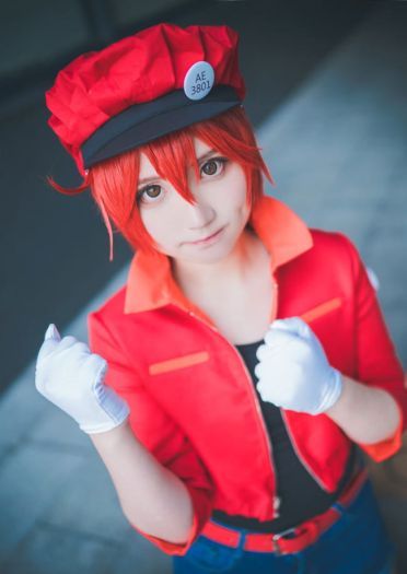 【cos正片】工作细胞 红细胞cos