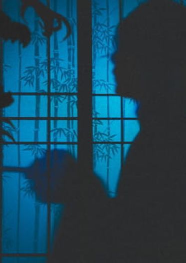 【COS正片】怪化猫 药郎