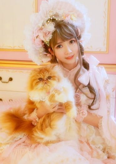 我也是有猫的人了～ 圣诞贺图(1)