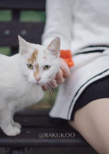 宝多六花 cosplay正片