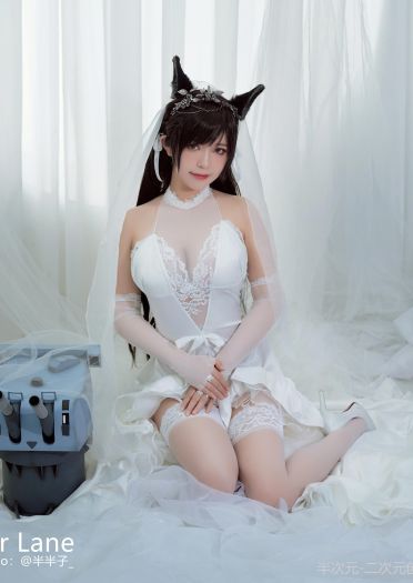 碧蓝航线 爱宕犬 婚纱