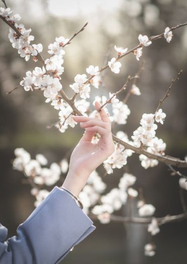 北方的春天来得晚 JK