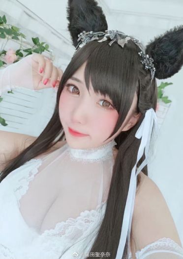 碧蓝航线cos 爱宕犬